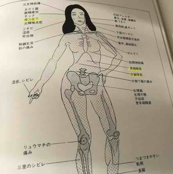 人体図