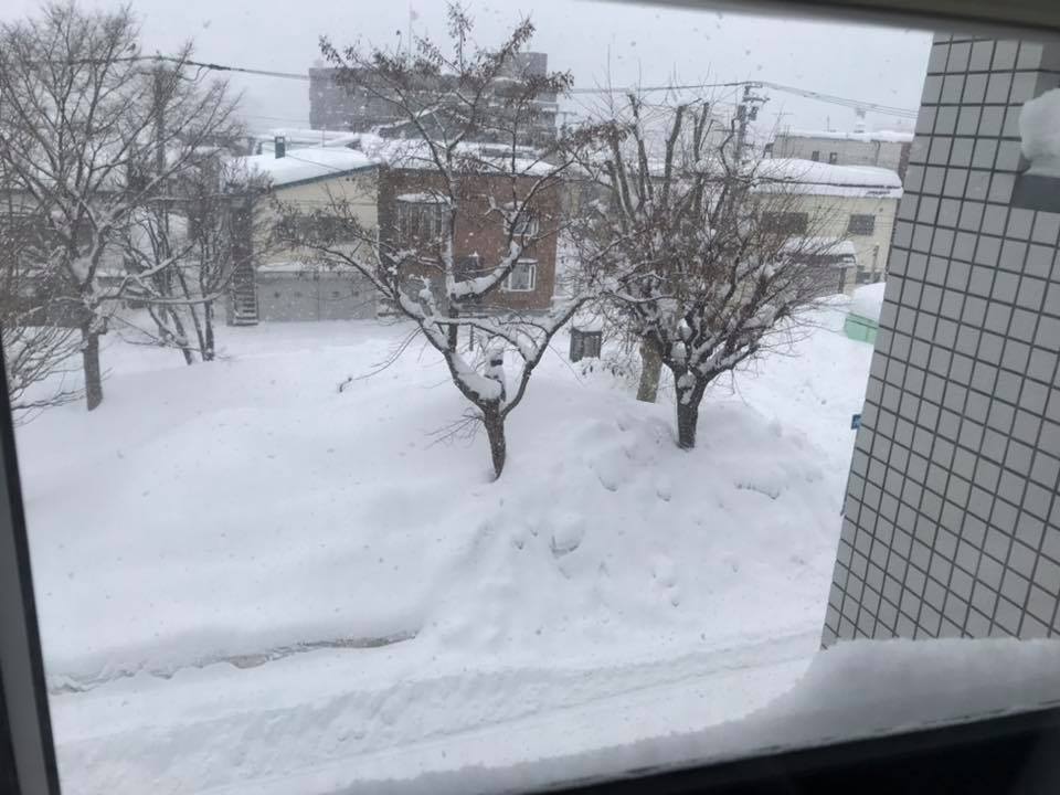 雪 on 2019-2-7